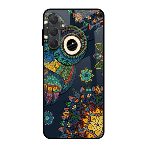 Owl Art Glossy Case for Samsung Galaxy F54 5G