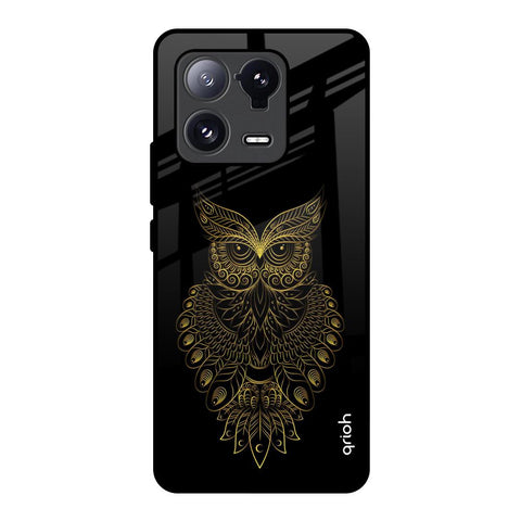 Golden Owl Glossy Case for Mi 13 Pro