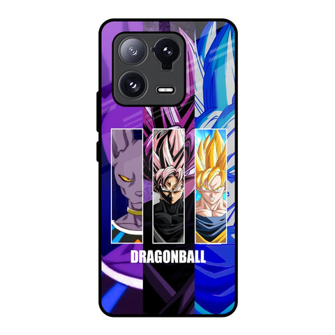 DGBZ Glossy Case for Mi 13 Pro