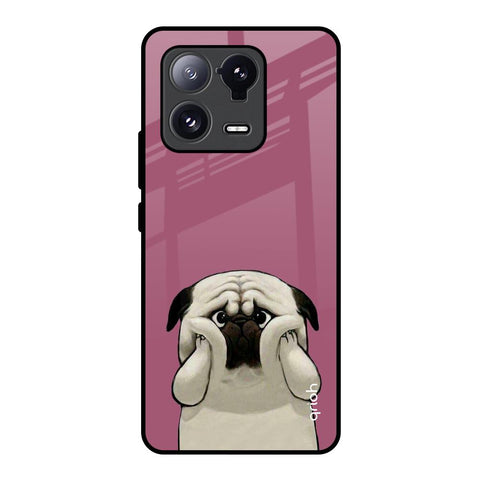 Funny Pug Face Glossy Case For Mi 13 Pro