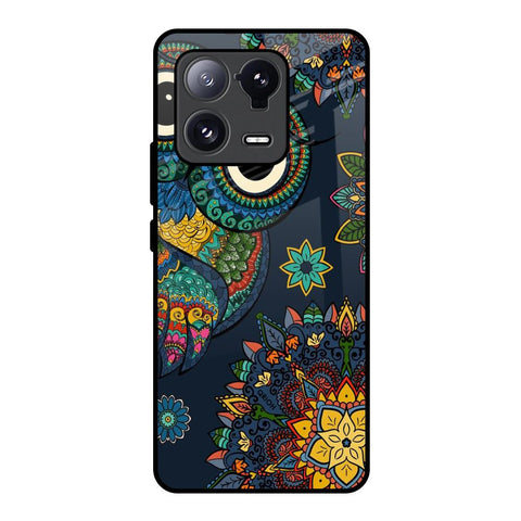 Owl Art Glossy Case for Mi 13 Pro