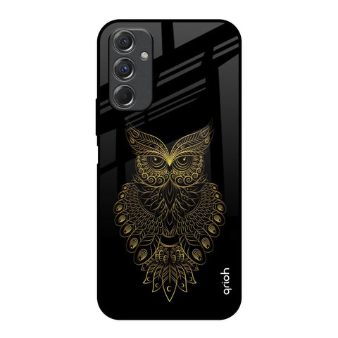 Golden Owl Glossy Case for Samsung Galaxy F34 5G