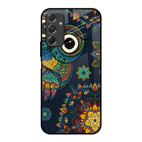 Owl Art Glossy Case for Samsung Galaxy F34 5G