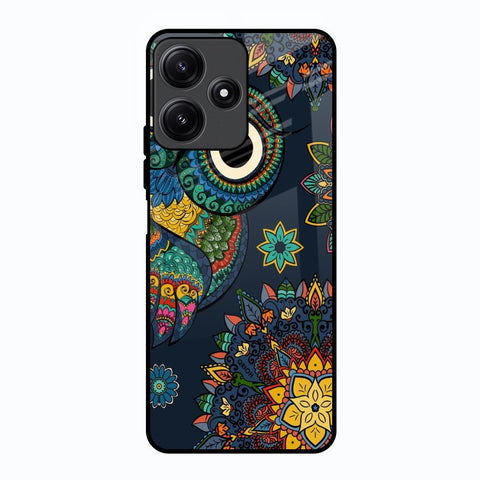 Owl Art Glossy Case for Poco M6 Pro 5G