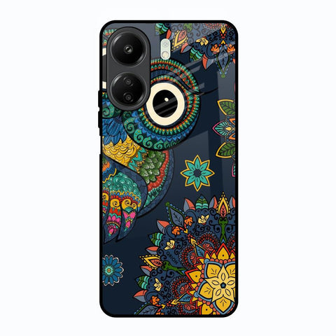 Owl Art Glossy Case for Redmi 13C