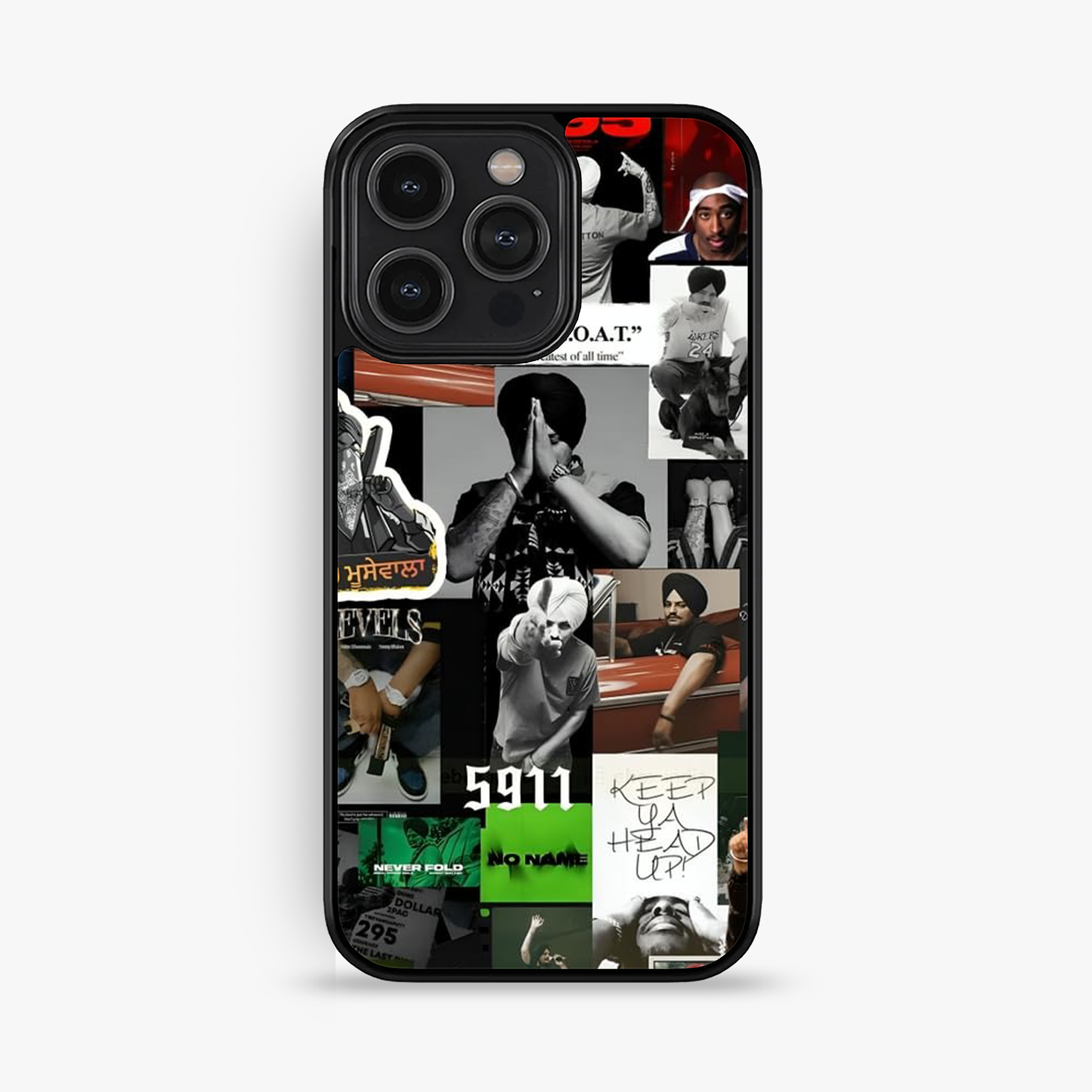 Punjabi Case Collection